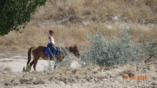 Horseback Riding at the Magical Valleys of Cappadocia