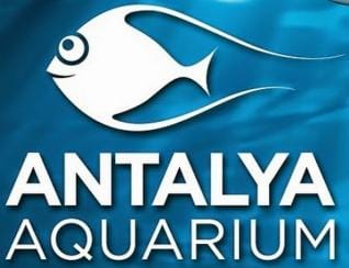 Antalya Weltgrößte Tunnelaquarium 3m Breit und 131m Lang