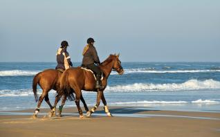 Horseback Riding at the Golden sandy Beaches of Side