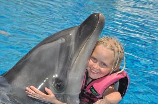 Dolphins show and Swimming with dolphins in Alanya
