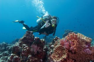 Scuba Diving Alanya: Scuba Diving for Beginners in Turquoise Waters